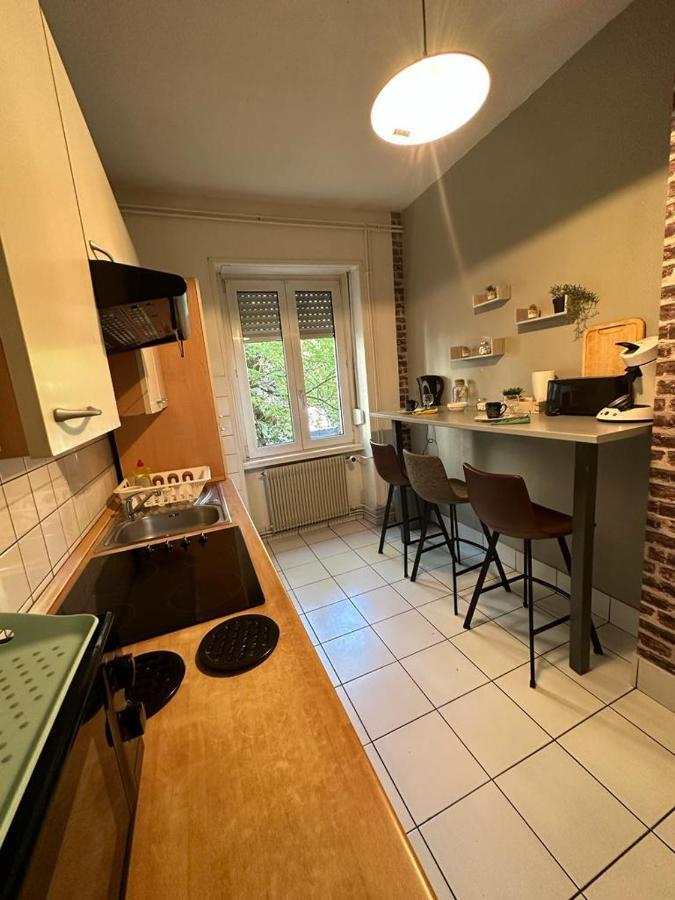 Le Cocon - 3 Pieces Mulhouse Gare/Centre Διαμέρισμα Εξωτερικό φωτογραφία
